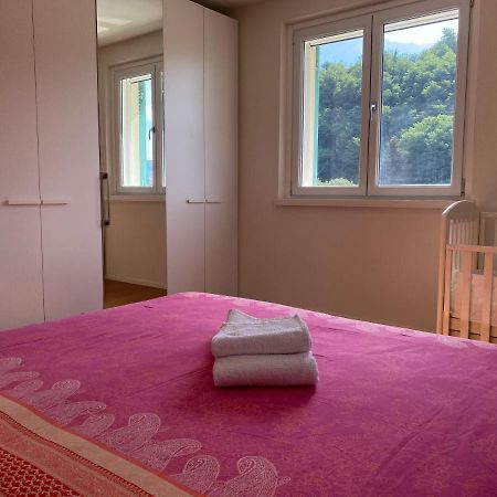 Villa Lena カマイオーレ エクステリア 写真